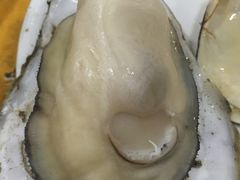 -蚝专家(北滘店)