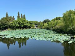 -无锡蠡湖国家湿地公园-蠡园