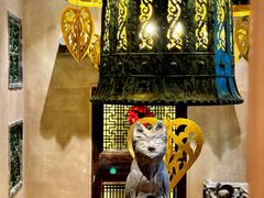 -叶叶菩提(太原别墅店)