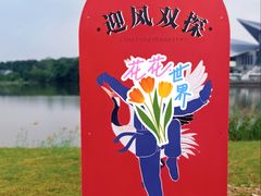 -盐城丹顶鹤湿地生态旅游区