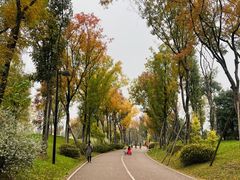 -桂溪生态公园