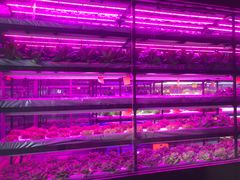 -中国农科院国家农业科技展示园