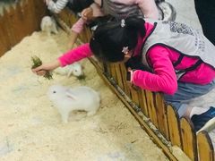 -上海大自然野生昆虫馆(东方明珠·爬宠昆虫探索中心)