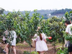 -桃源山庄·水蜜桃采摘·柴火鸡·烧烤团建(龙泉山店)