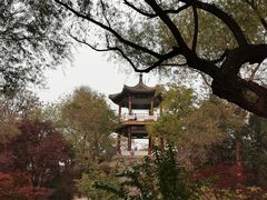 -莲花池公园