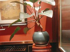 -皇城根·鲁菜济南菜·吊炉烤鸭·炒鸡鱼头(济南旗舰店)