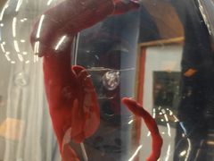 -曲江大雅幼儿园·托育(西安市雁塔区店)