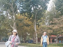 -中山公园