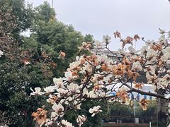 -南京晨光1865创意产业园