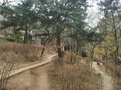 -观象山公园