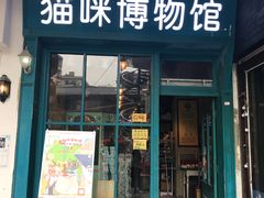 -猫咪博物馆(顶澳仔猫街店)