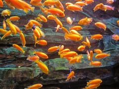 -多彩贵州城极地海洋世界