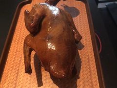 -羽鸽集·乳鸽专门店·地道顺德菜(岭南站店)