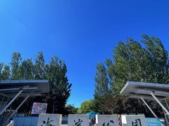 -海淀公园