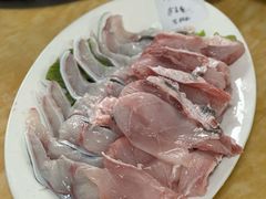 野生庐鳗-金砂阿洲鱼册店