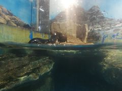 -锦艺城海洋馆