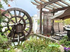 -慢丽江·云南野生菌土鸡锅(付家庄店)