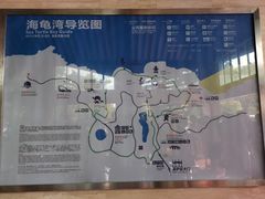-广东惠东海龟国家级自然保护区
