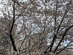 -良渚文化村