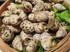 白灼花螺-浙C老邻舍(西城海错店)