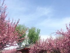 -厦门帝元维多利亚大酒店(环岛路黄厝海滩店)