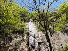 -王顺山国家森林公园