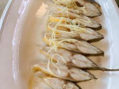 -得心斋(国瑞升平里店)