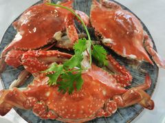 -阿尔法海鲜排档(爱琴海店)