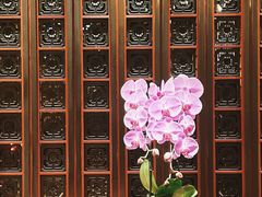 -北京四季酒店·采逸轩