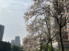-红星桥(地铁站)