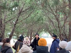 -洛阳古墓博物馆