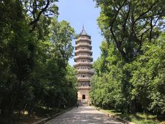 -灵谷景区