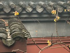 -钱王祠