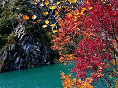 -叠溪松坪沟景区