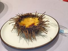-日月昇渔家菜·海肠捞饭·大连海鲜(星海公园店)