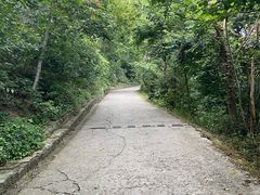 -紫金山山顶公园