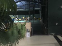 -东丽温泉羽毛球