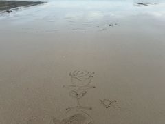 -南麂列岛
