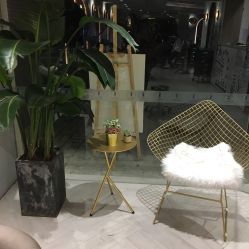 -苏豪路易士·嘉玛发廊