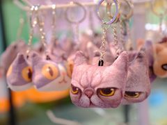 -猫咪博物馆(顶澳仔猫街店)