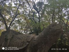 -灵谷景区