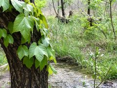 -碓臼峪自然风景区