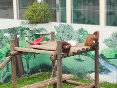 -西霞口神雕山野生动物世界