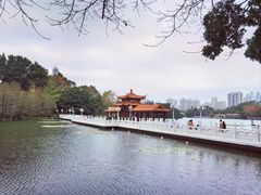 -荔枝公园(福田区)