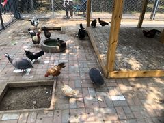 -长白岛森林公园