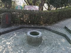 -上海佘山国家森林公园天马山园