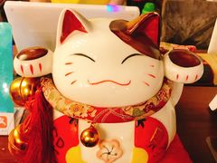 -猫姑娘大盘鸡(商城路店)