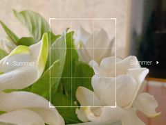 -碧云国际社区·晓园