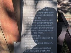 -汉拿树木园