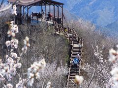-大岭沟猕猴桃谷风景区